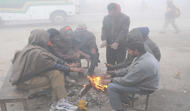 हरियाणा और पंजाब में भी जारी ठंड का कहर, नारनौल रहा सबसे ठंडा स्थान